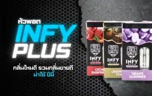 หัวพอต INFY Plus กลิ่นไหนดี แนะนำกลิ่นยอดนิยม 2025